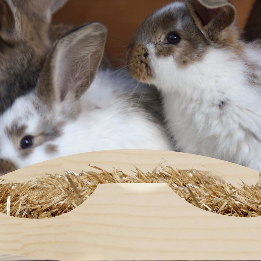 rabbit feeder walmart