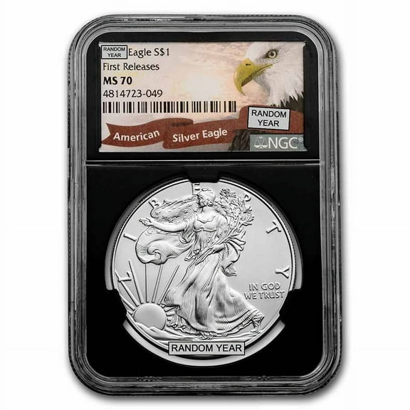 1 oz American Silver Eagle MS-70 NGC (Random Year, ER/FR)
