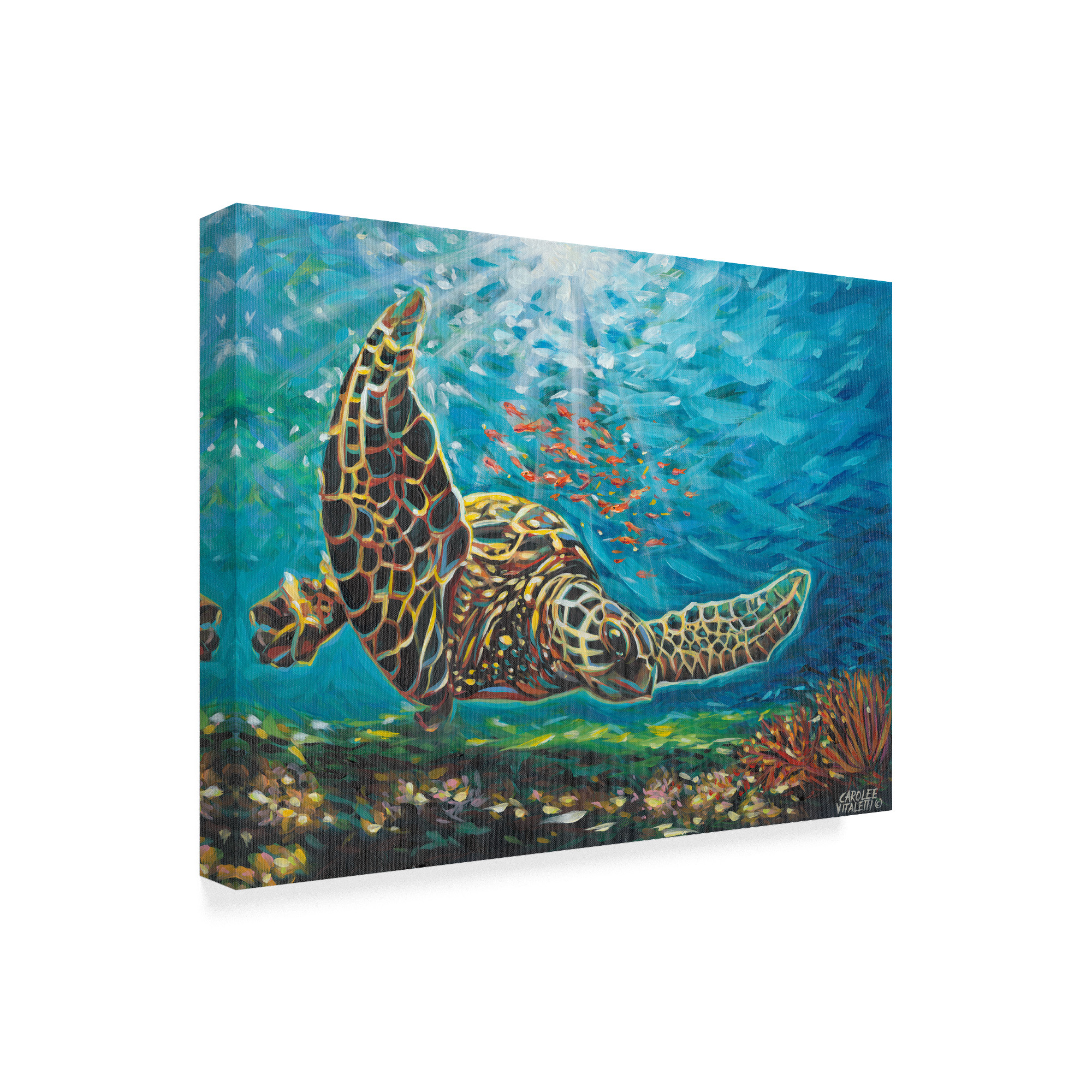 Trademark Fine Art 'Deep Sea Swimming I' Canvas Art by Carolee Vitaletti