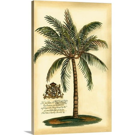 British Colonial Collection Great BIG Canvas Vision Studio Premium Thick-Wrap Canvas entitled British Colonial Palm III ()