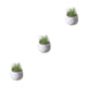 thumbnail image 2 of Billuyoard Plantas suculentas artificiales Simulación Bonsai Fake Flower Potted Party Type1 NO1, 2 of 6