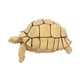 thumbnail image 5 of Figura de tortuga, juguete de tortuga, juguete educativo simulado, juego de tortuga pequeña Beige, 5 of 9