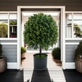 thumbnail image 5 of Accreate Artificial Topiary Plants, Fake Boxwood Ball Trees Outdoor and Indoor, Faux Greenery for Home Decor, 20 Inch-with Fruit, 2pcs, 5 of 7
