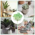 thumbnail image 5 of Plantas suculentas artificiales mini Uxcell sin maceta, suculentas falsas, suculentas texturizadas realistas, verdes, paquete de 2, 5 of 5