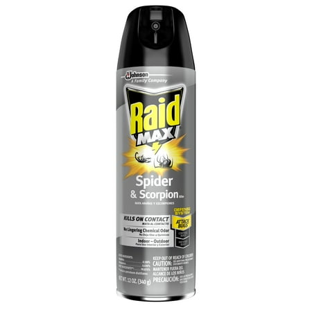 Raid Max Spider & Scorpion Killer, 12 Ounces