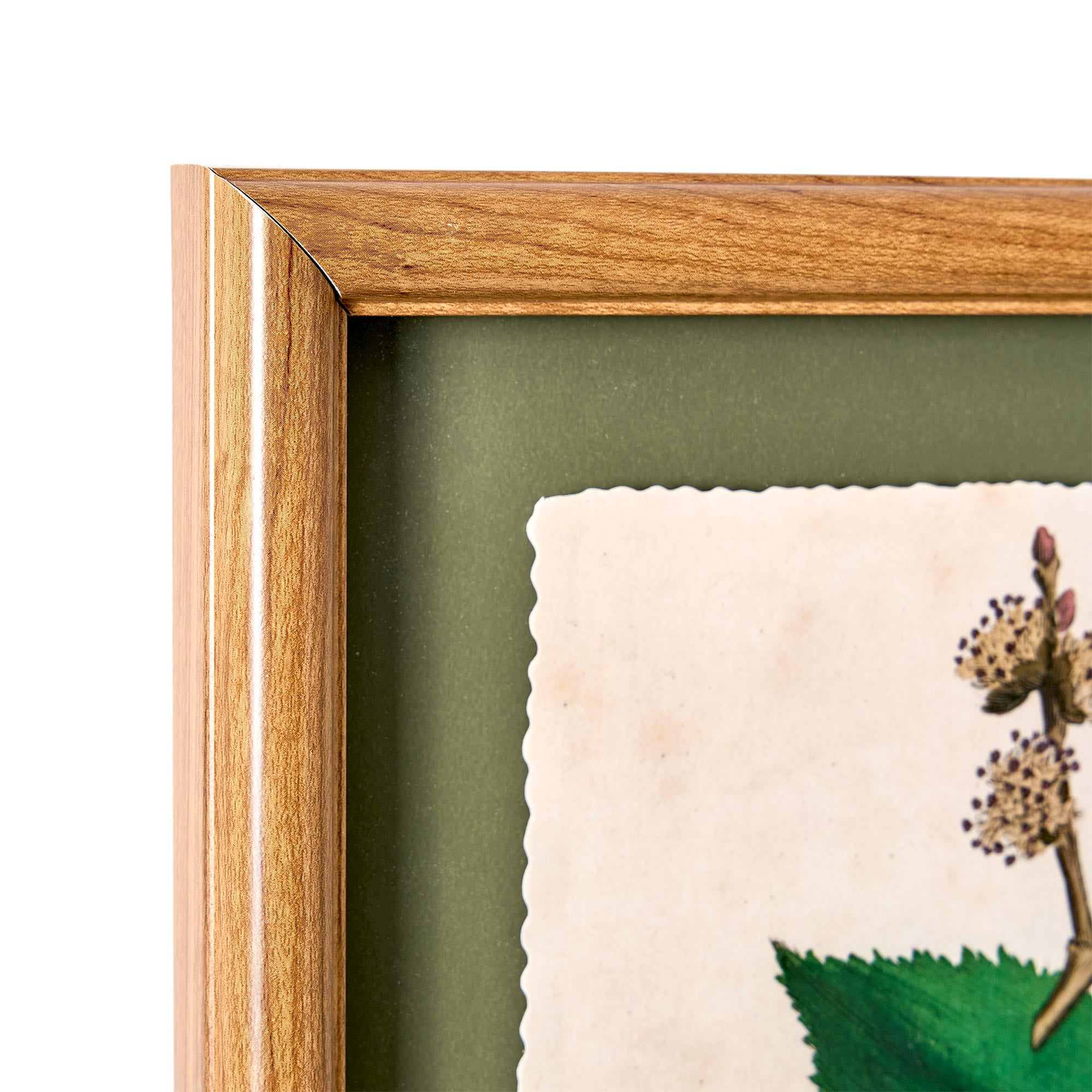 Beautiful Framed Vintage Florals Elm Tree Leaves-Yellow Flowers-Peony Flower 3-Piece Set by Drew Barrymore 10" X 12"
