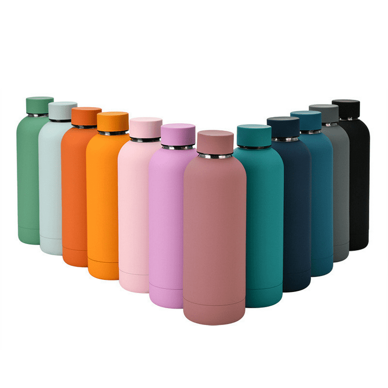  Mayim “The Bullet” On-the-Go Sports Water Bottle,  Vacuum-Insulated Double Walled Reusable Stainless-Steel Thermos, Leakproof,  Matte Coated, 17 Ounces, Lilac Purple : Sports & Outdoors