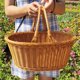 thumbnail image 2 of Cesta de picnic de ratán sintético hecha a mano con asa, cesta de almacenamiento tejida de mimbre para picnic y acampada, soporte para fruta al aire libre, 2 of 3