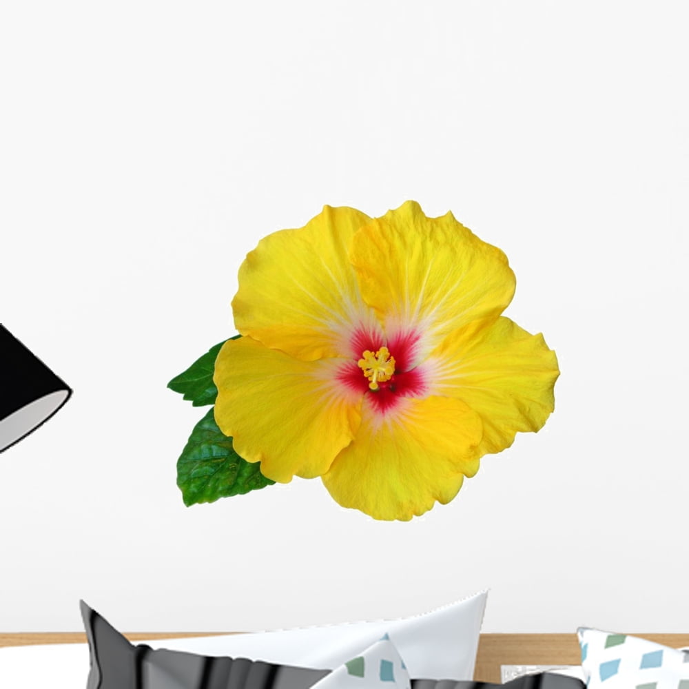 Yellow Hibiscus Flower Wall Mural by Wallmonkeys Peel and Stick Graphic