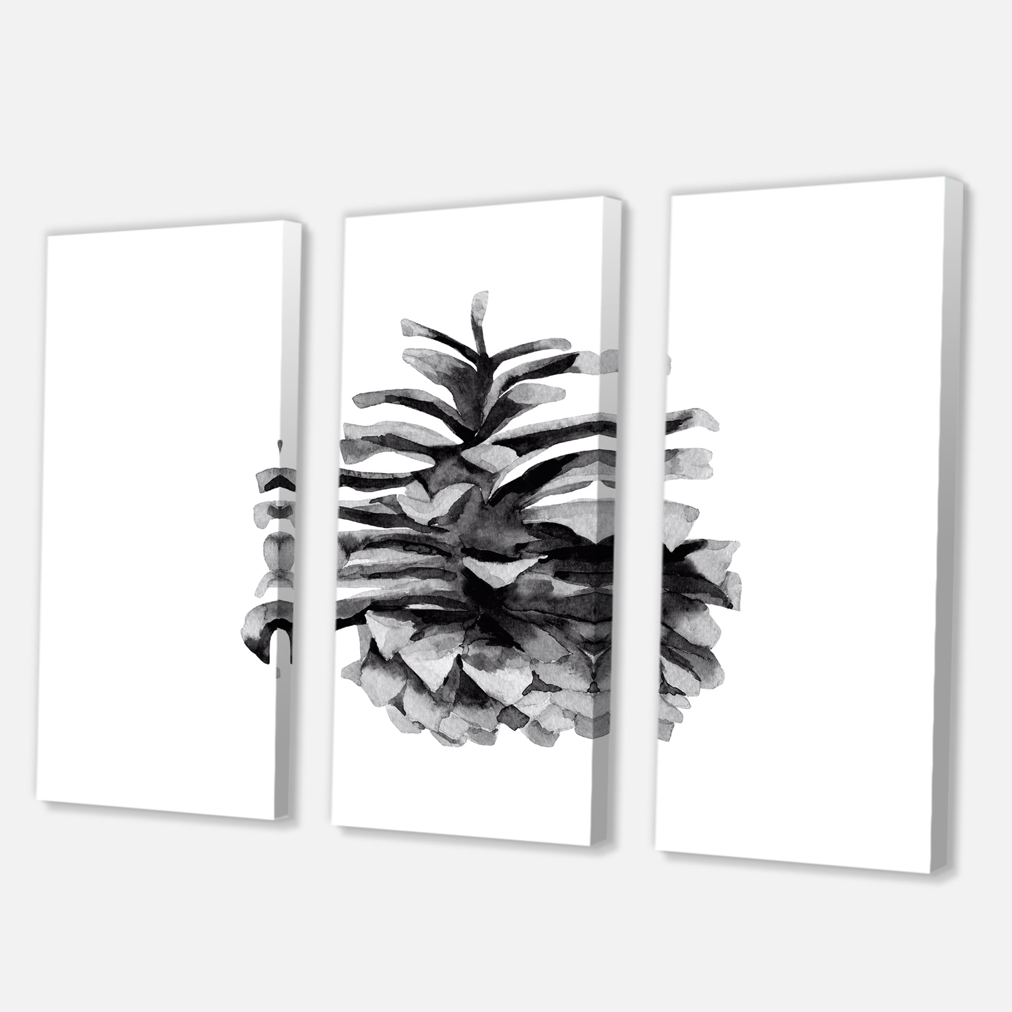 Designart ' Conifer Cone Black and White ' Traditional Canvas Wall Art Print
