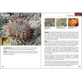 thumbnail image 6 of Cactus of Arizona Field Guide, 6 of 7