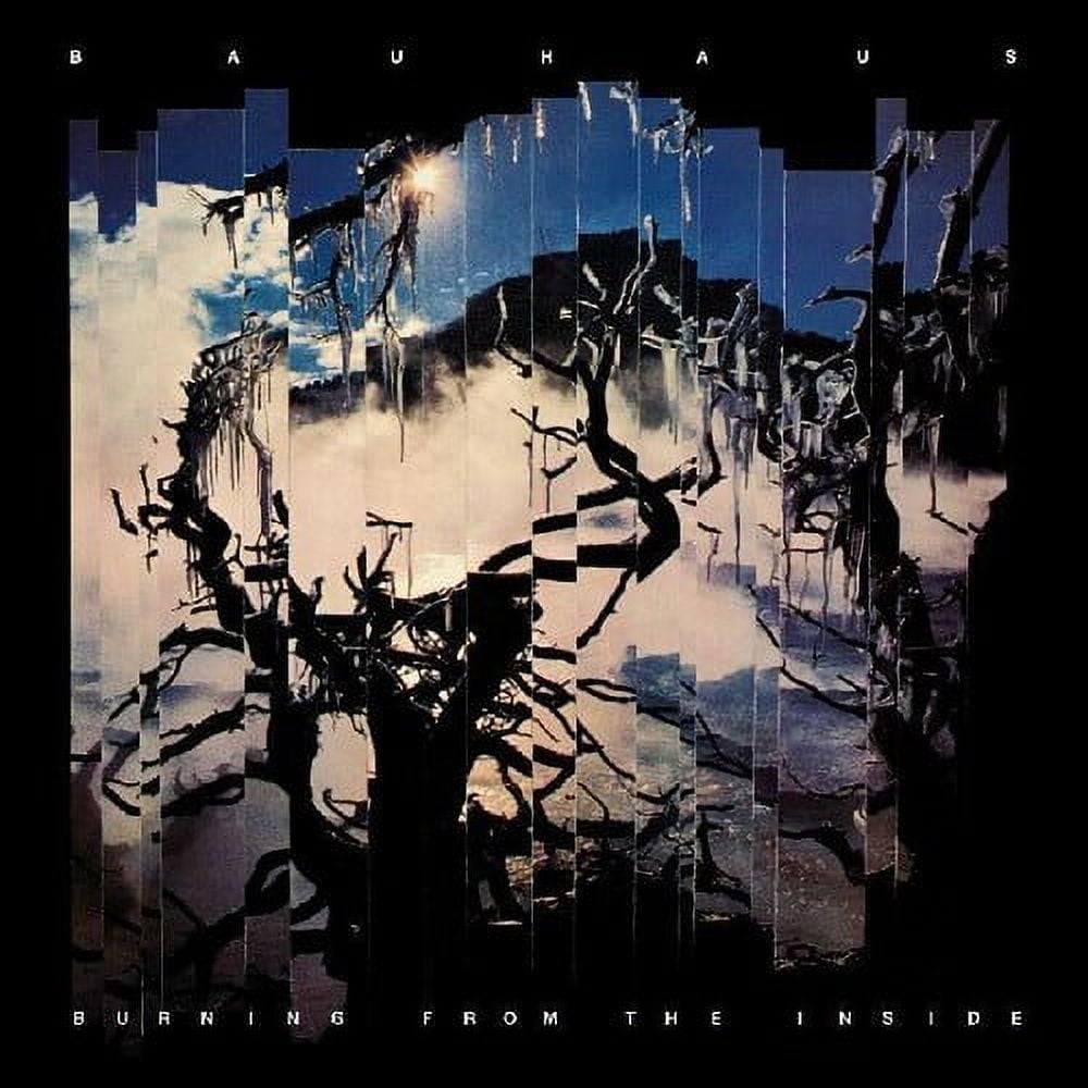 Free Shipping! The Cult - Sonic Temple - Music & Performance