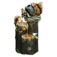 thumbnail image 1 of Estatua De Fuente De Agua De Ardilla De Resina Creativa Estatua De Jardín De Animales Fuente De Patio De Alta Para Decoración De Jardín De Paisaje Al Aire Libre Advancent HA014327-00, 1 of 6