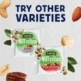 thumbnail image 4 of PLANTERS NUT-RITION Wholesome Nut Mix, Mixed Nuts, Plant Based Protein, 7 Count Box, 4 of 14