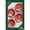 Christmas Red with Bethlehem Scene, variant on Glass Christmas Tree Ornaments - 67mm/2.63" [4 Pieces] Decorated Balls from Christmas by Krebs Seamless Hanging Holiday Decor