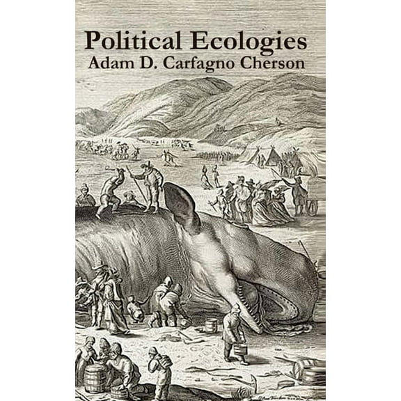 Political Ecologies : Essays in Environmental Science and Policy (Paperback)