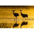 thumbnail image 2 of Illg, Cathy and Gordon 14x11 Gold Ornate Wood Framed with Double Matting Museum Art Print Titled - New Mexico Silhouette of Sandhill cranes, 2 of 4