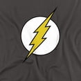 thumbnail image 2 of DC Flash Flash Logo Women's T Shirt, Charcoal, Small, 2 of 6