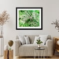 thumbnail image 3 of Art Print (Unframed), Delhi, India Viewed from Space by NASA, 16" x 20", 3 of 3