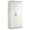 White, variant on Pemberly Row Contemporary 2-Door Engineered Wood Storage Cabinet in White