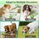 thumbnail image 3 of Shaky Ball Dog Toy,Viral Shaky Ball for Dogs,Shaky Ball Dog,Shaky Ball Toy, 3 of 4