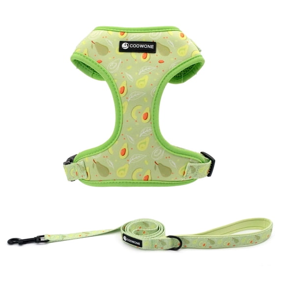 Dog Harness and Leash Set, Adjustable Dog Harness, Dog Leash, No Pull No Choke Puppy Harnesses for Walking Training for Small Medium Pet