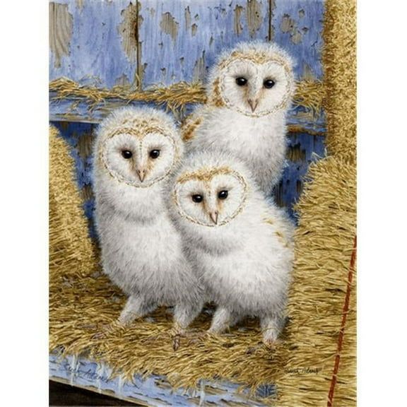 Barn Owl Chicks Flag Canvas House Size