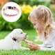 thumbnail image 3 of Juego de collar y correa con diadema para perro, collar ajustable para caminar y correr al aire libre para perros todos los días MFZFUKR CPB-US-YY383-4, 3 of 5