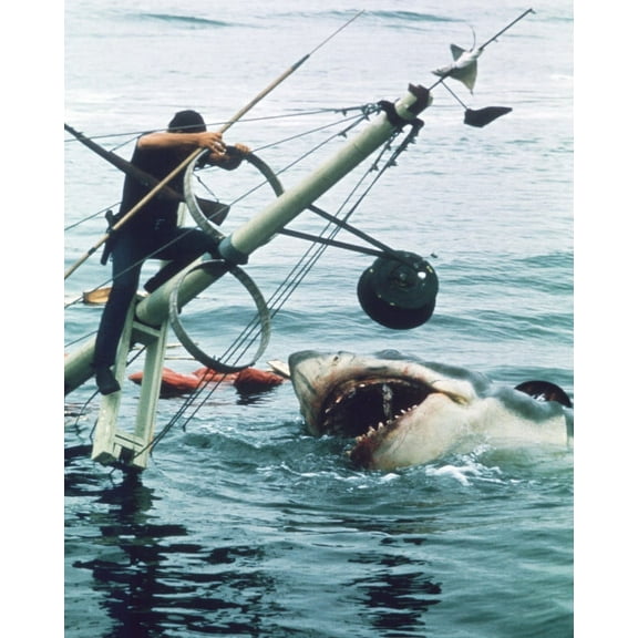 Jaws 24X36 Classic Hollywood Poster Roy Scheider And Shark