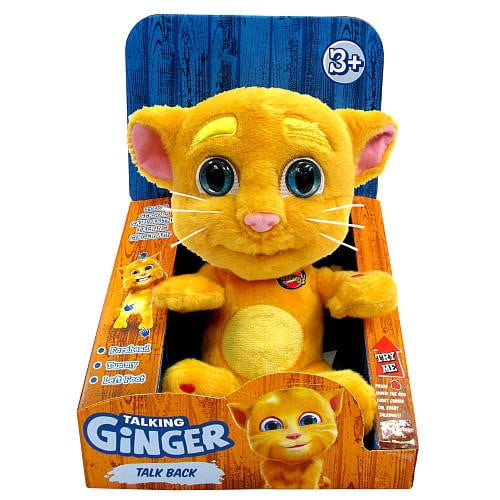 TALKING GINGER
