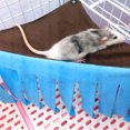 thumbnail image 3 of Hamster Hamac Triangle en Coton Suspendu Lit Hamster Petit Animal Cage, 3 of 10