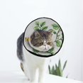 thumbnail image 1 of Spring Butterfly Wildflowers Forest Birds Soft Cat Dog Recovery Collar Adjustable Cat Cone Wound Healing Protective After Surgery for Puppy Cones After Surgery, 1 of 7