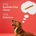 thumbnail image 4 of DreamBone DreamSticks with Real Bacon and Cheese, Rawhide-Free Chews for Dogs, 15 Count, 4 of 7