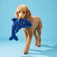 thumbnail image 2 of Vibrant Life Blue Shark Plush Dog Toy with Squeaker, Chew Level 3, 2 of 10