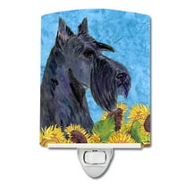 Caroline's Treasures SS4163CNL Scottish Terrier in Summer Flowers Ceramic Night Light, 6x4x3", multicolor