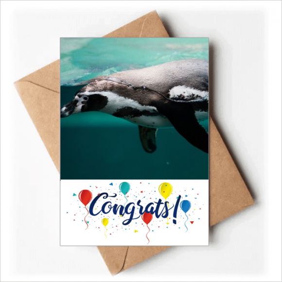 Ocean Deep Blue Penguin Water Picture Wedding Cards Congratulations Greeting Envelopes