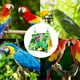thumbnail image 3 of Bird Cage Bed Cozy Cave Nesting Spot for Birds Snug Hideout Tent, 3 of 5
