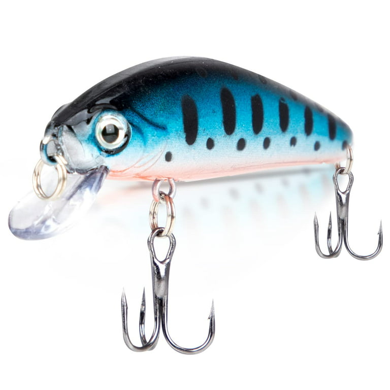 Hajimari Fishing Lures - Realistic ABS Plastic Crank Bait Fishing Lures for  Bass, Cod, Trout, and More 