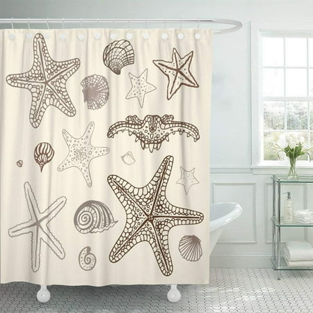 Bsdhome Beige Shell Sea Starfish Collection Hand Drawn Beach