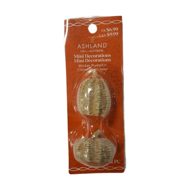 Ashland Mini Decoration Wicker Pumpkins 2-pc Fall
