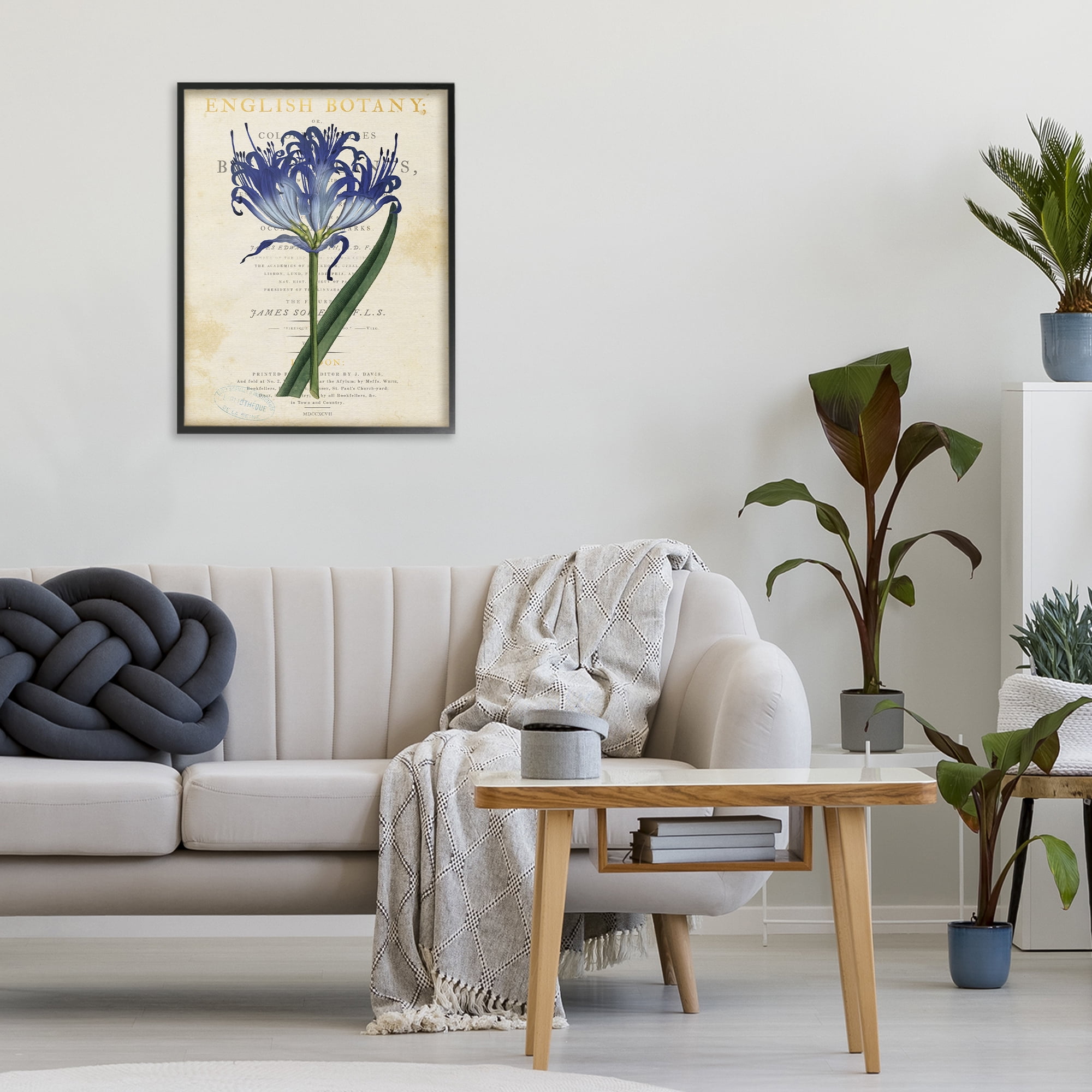 Stupell Industries English Botany Blue Floral Black Framed Giclee Art, design by Susan Arnot