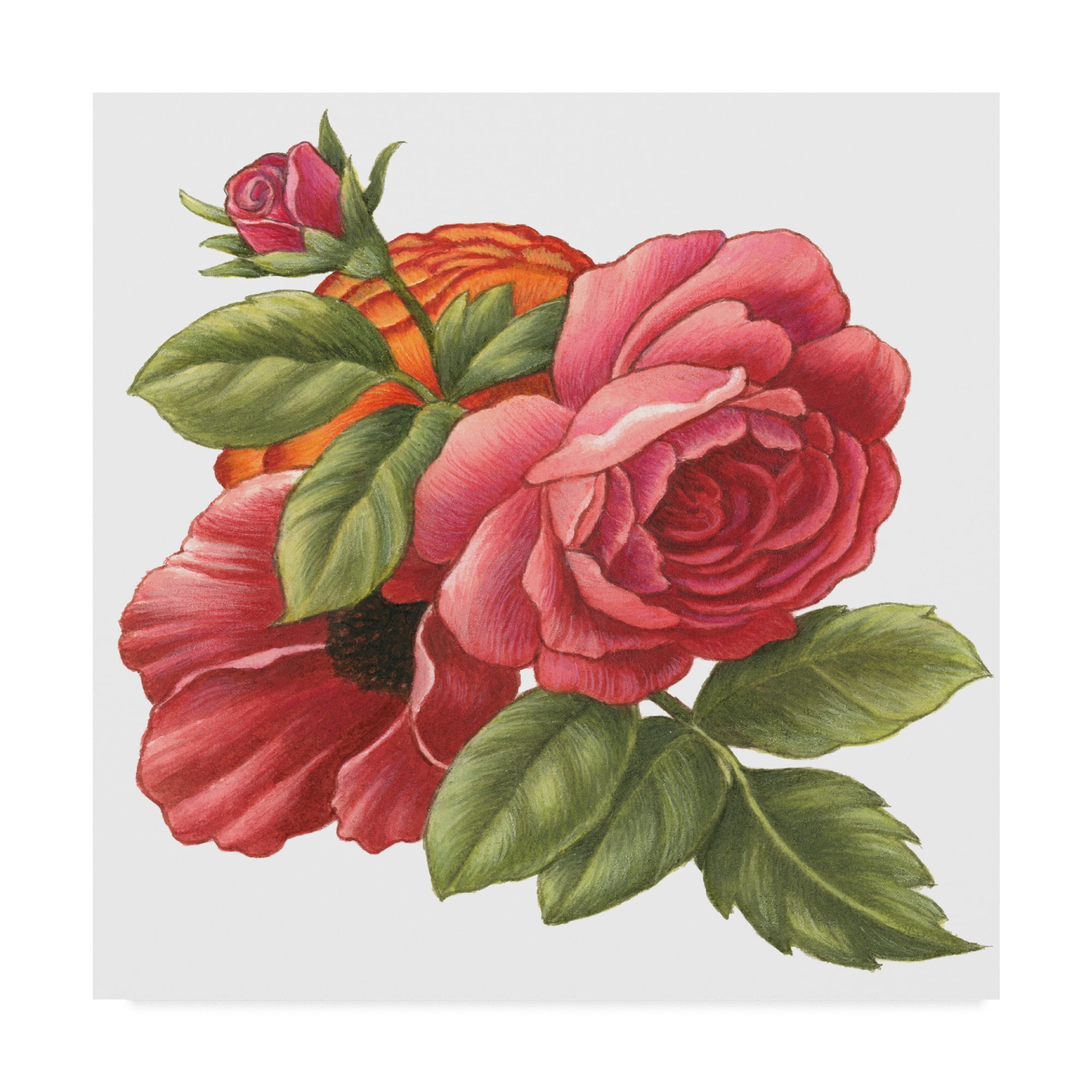 Trademark Fine Art 'Central Red Roses' Canvas Art by Francien Van ...