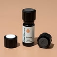 thumbnail image 3 of Plant Therapy Passive Diffuser Cap 3-Pack Easy & Innovative Aromatherapy, Turn Your Favorite Essential Oil Into a Passive Diffuser, Great for Personal Use, 3 of 8