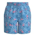 thumbnail image 1 of Traje de Baño Simply Basic Para Hombre Estampado Flamingos Azul T CH, 1 of 4