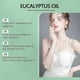 thumbnail image 3 of Pure Natural Eucalyptus Essential Oil - Organic, 100% Pure for Aromatherapy, Skin, Hair, Scalp, and Body Care Applications, 3 of 5