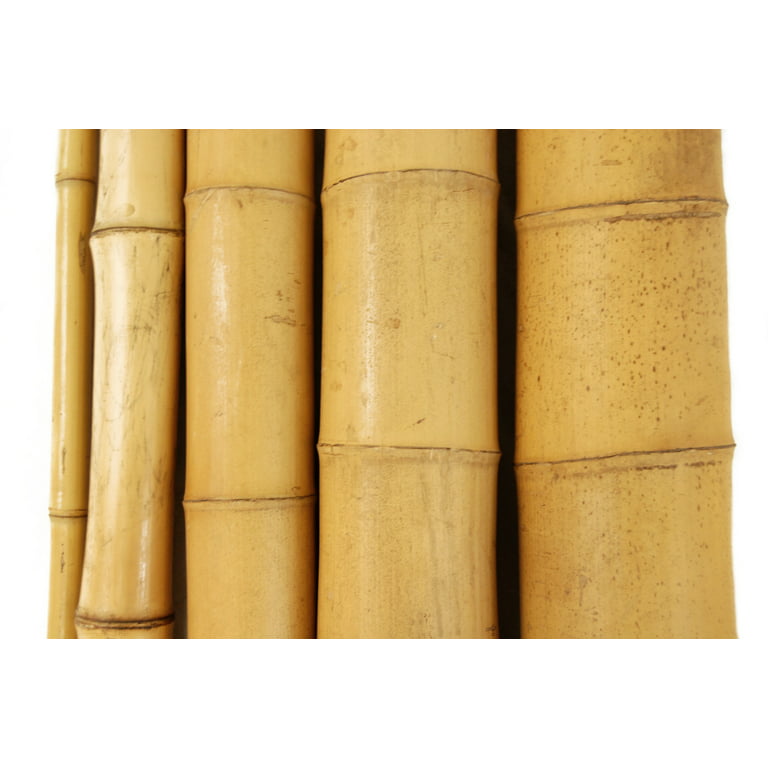 Backyard x Scapes 1 in. x 8 ft. Natural Bamboo Poles (25-Pack/Bundled)