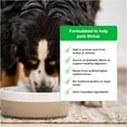 thumbnail image 4 of Open Farm Grain-Free Dry Dog Food with Ethically Sourced Ingredients, Non-GMO Veggies & Superfoods to Support Overall Health, Homestead Turkey and Chicken Recipe, 22lb Bag (352oz Bag), 4 of 6