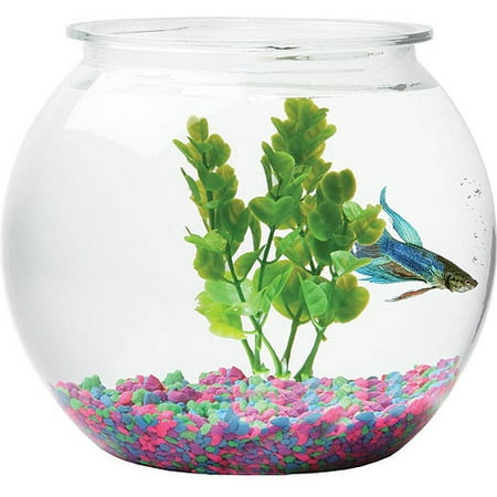 fish bowl gallon walmart hawkeye diameter resistant impact plastic aquarius betta