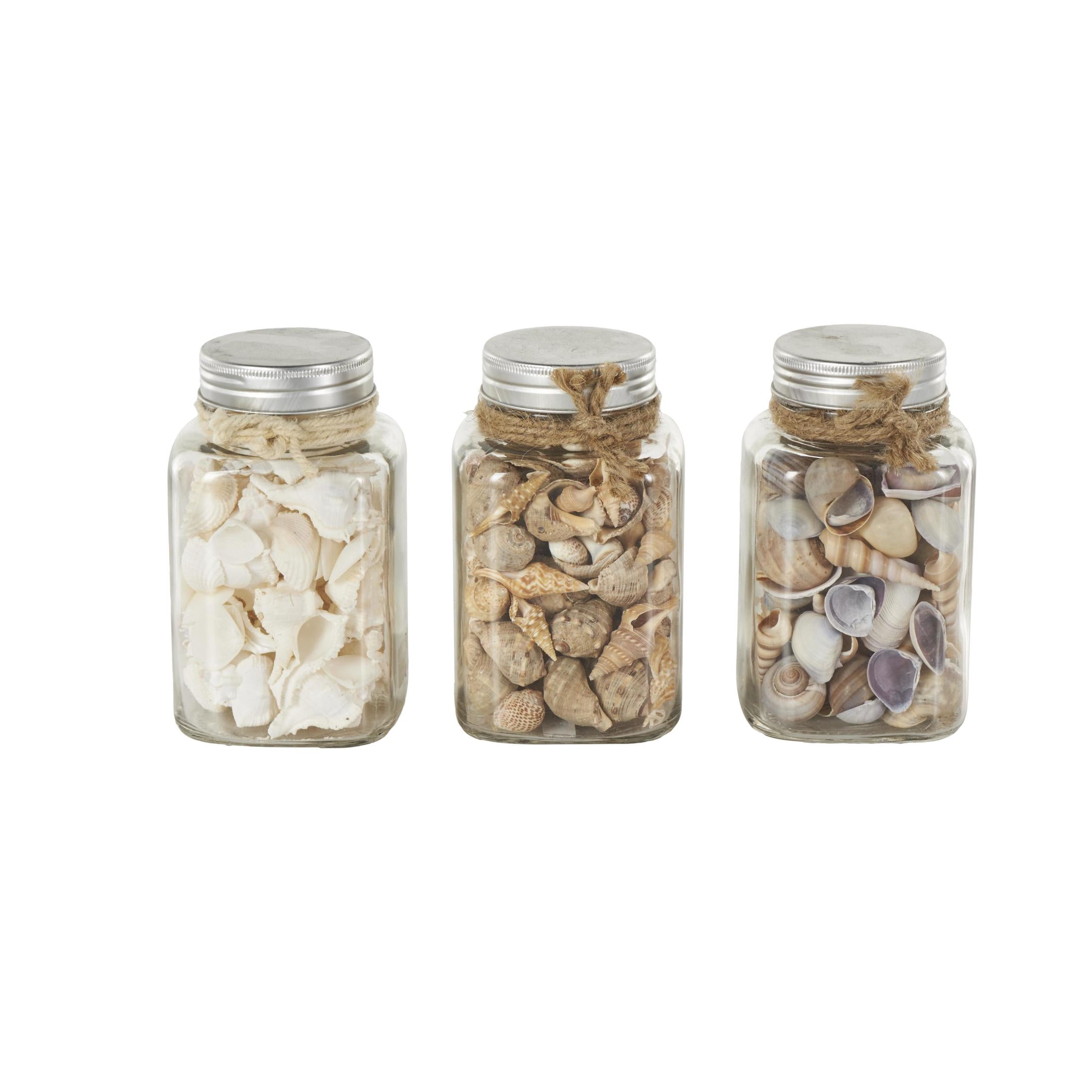 DecMode Clear 3" Glass Orbs & Vase Filler with Seashells and Jute Rope Accents (3 Count)