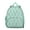 Greenish-blue-13, variant on Owl Student Backpack – Cute Snowy Owl Big Eyes Cartoon Print With Night Pattern Design For Student